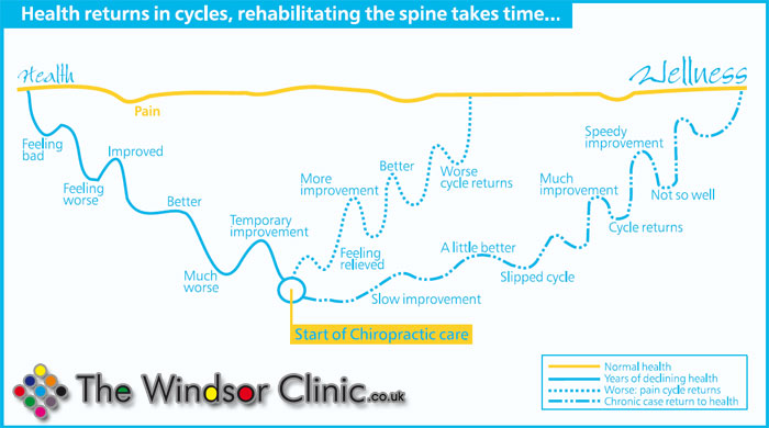 Wellness Cycle